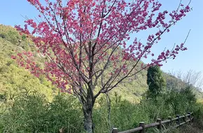 Houliao Mountain