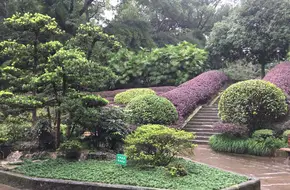 Beibei Park