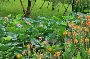 Muxian Lake Wetland Park