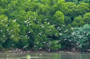 Ecological Reserve