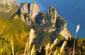 Wangxia Park