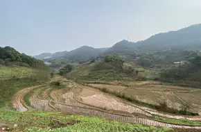 Jiangjin Riverside Road