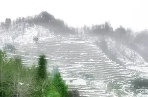 Jinfoshan North Slope Ski Resort