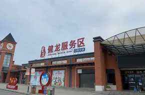 Tianpu Tao Grape Picking