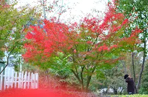 Meifeng Scenic Observation Deck