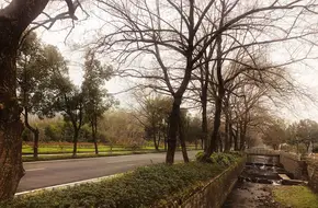 Shuangpu Town, Shuanling Village
