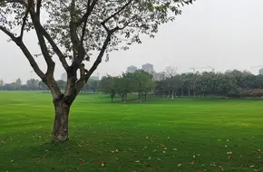 Chongqing Central Park - Sunshine Great Lawn