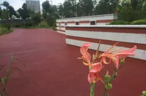 Dongshan Water System Park