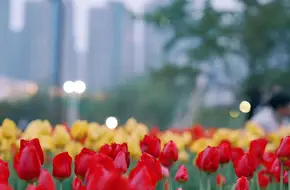 Nanjiang Park