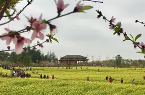 Xiangshan Park