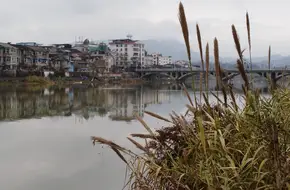 Wuyi Source