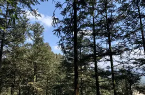 Bijia Mountain