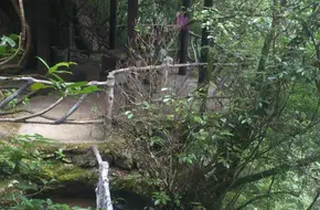Wuyi Mountain Scenic Area-Jade Dragon Valley