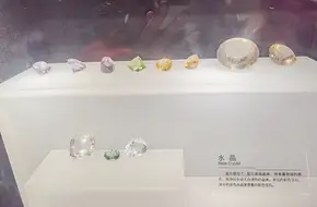 Chongqing Natural History Museum