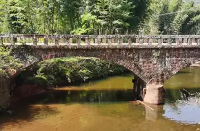 Flying Dragon Temple