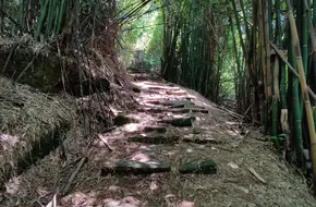 Laifengyi Ancient Road