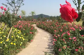 Baima Lake Eco-Creative City