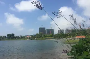 Dongshan Water System Park