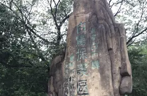 Sanduoqiao Village Egret Reserve