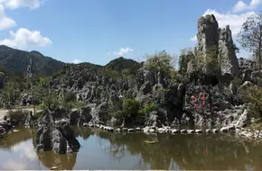 Thousand Island Lake Stone Forest Scenic Area