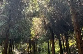 Bijia Mountain