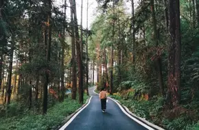 Yao Wan Forest Park