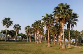 Xiamen Binhai Road