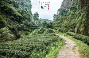 Yan Gu Hua Xiang Slow Path