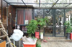 Old Banyan Tree Bar
