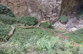 Xiaozhai Tiankeng Scenic Area