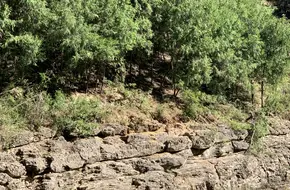 Di Cui Gorge