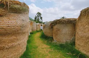 Jinnong Bay Experiential Farm