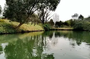 Curved Water Bridge