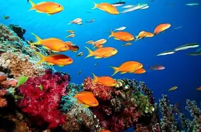 Yichang Underwater World