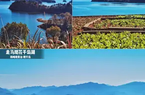 Zhuli Village Observation Deck