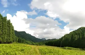 Dream Valley