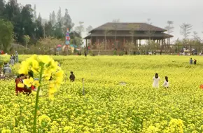 Xiangshan Park