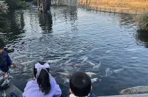 Qiandao Lake Fish Street