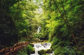 Black Valley