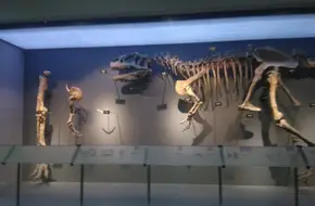Chongqing Natural History Museum - West Square