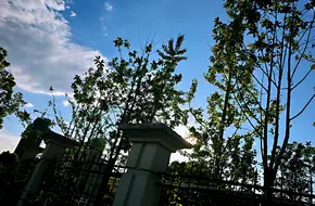 Jiangnan College, School Of Automotive