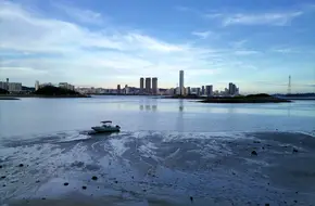 Haicang Bay Park