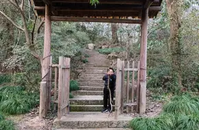 Wind Lotus Pavilion