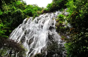 Wuyi Mountain Scenic Area-Jade Dragon Valley