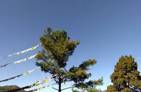 Wenfeng Temple