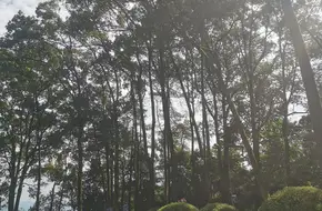 Jinyun Mountain-Tenglong Pass