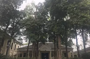Dazu Zhenyuan Hall
