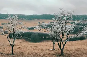 Xiannvshan National Forest Park-Horse Riding Ground