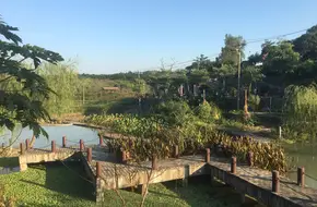 Summit Village