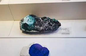 Chongqing Natural History Museum